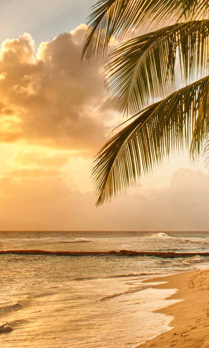 Barbados Holidays 2024/2025 Cheap Holidays to Barbados